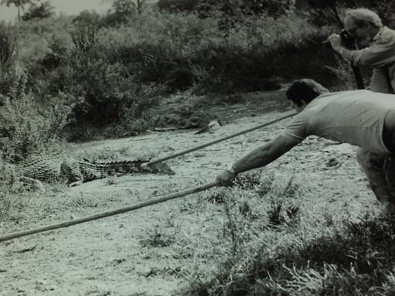 Filmación Cocodrilos Ciénaga de Zapata